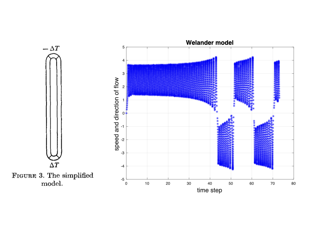Welander_model.jpeg