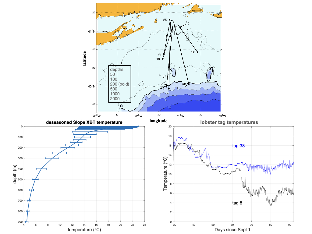 lobster_temp_plot